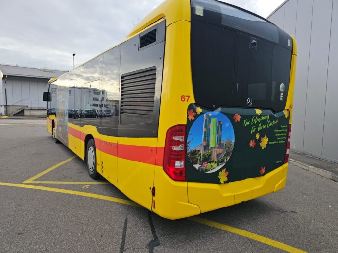 IMG-20251210-WA0009 1