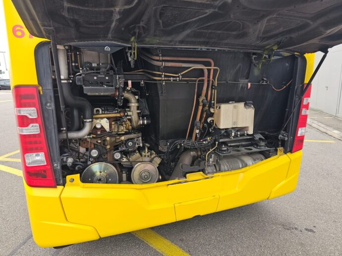 IMG-20251210-WA0014 1